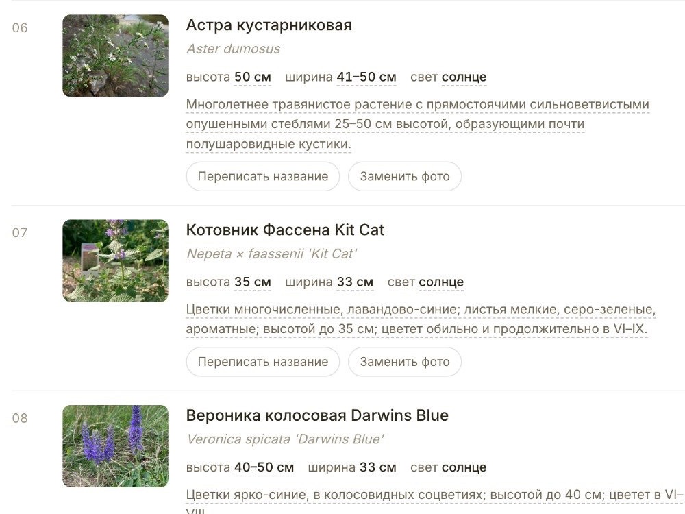 Ассортиментная ведомость: лист разбора