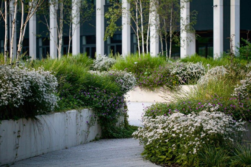 Попался интересный проект в Вильнюсе — Business Garden Vilnius