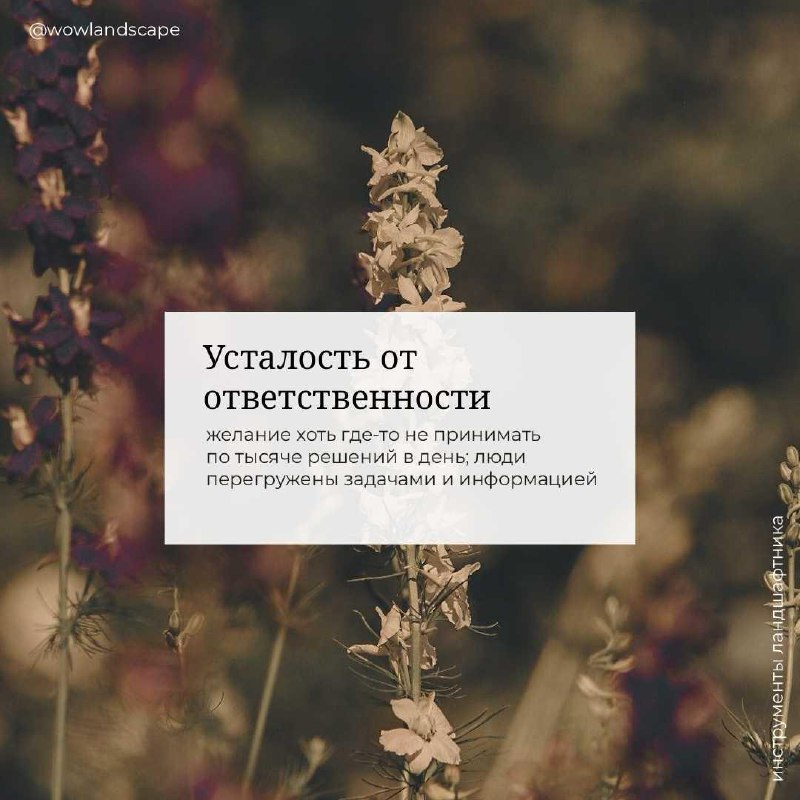 Ближайшие годы сильно поднимут ценность ландшафтного дизайнера — фото 3