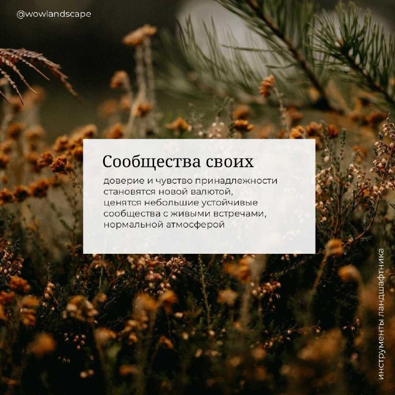 Ближайшие годы сильно поднимут ценность ландшафтного дизайнера — фото 4