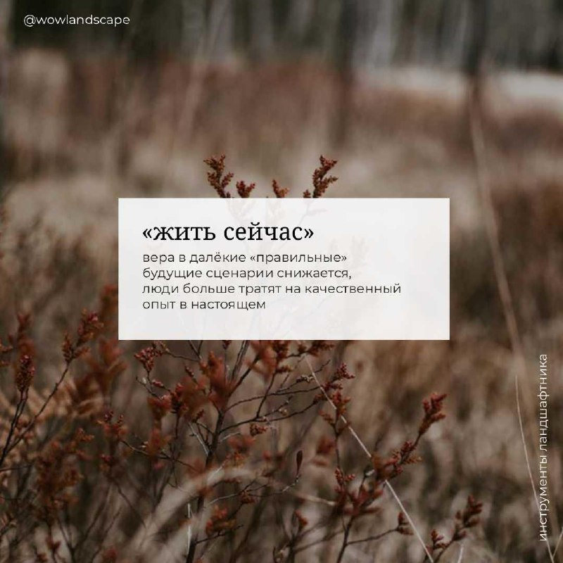 Ближайшие годы сильно поднимут ценность ландшафтного дизайнера — фото 5