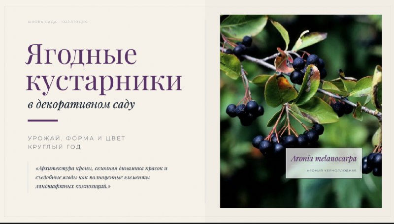 Уже несколько месяцев мы с командой оформляем все свои презентации с помощью ИИ — фото 6
