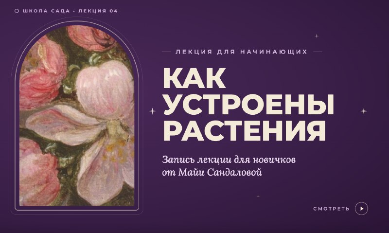 Я в шоке, он с первого раза правильно подхватил всю стилистику школы сада и все правильно… — фото 5
