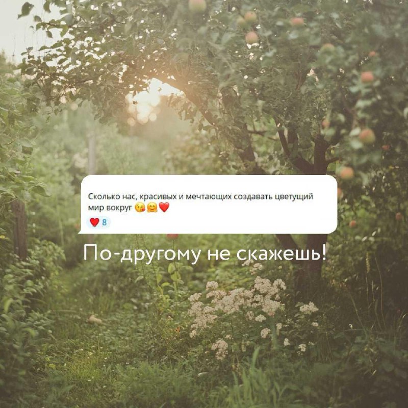Коллеги, хочу приоткрыть дверцу в наш секретный чат с учащимися — фото 6